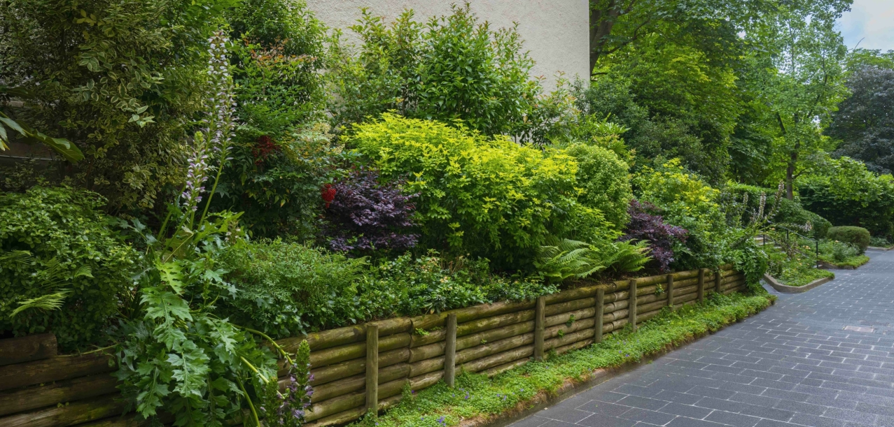Entretien des jardins d’une résidence de standing à Paris (75016) (7)