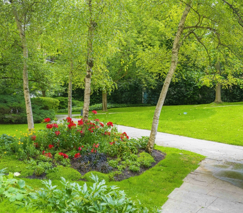 Entretien des jardins d’une résidence de standing à Paris (75016) (9)