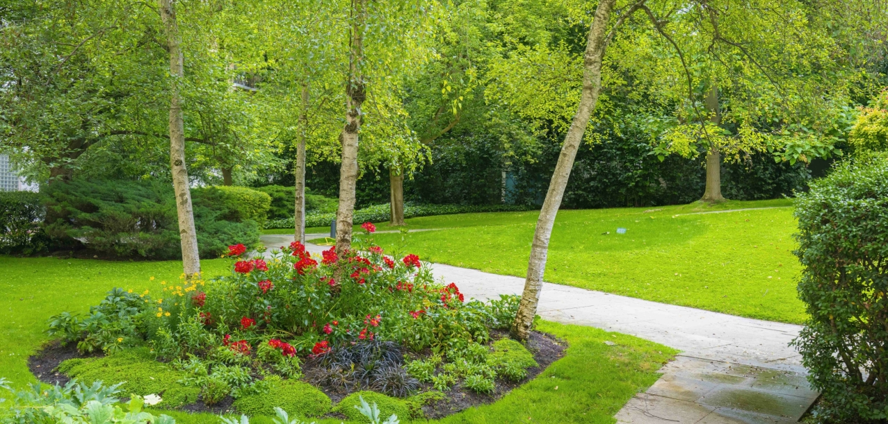 Entretien des jardins d’une résidence de standing à Paris (75016) (9)