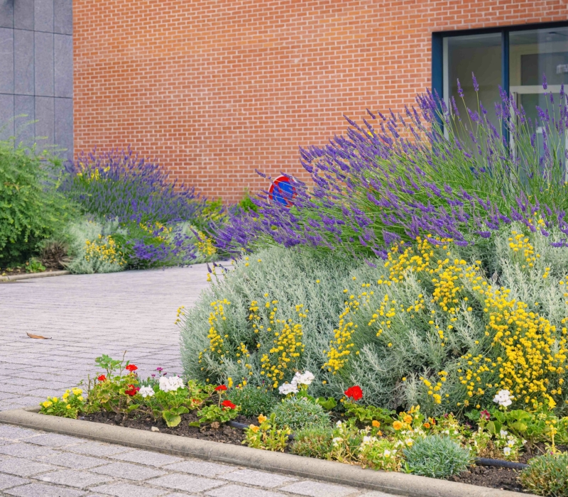 Gestion différenciée des jardins d’un Ehpad (75012)