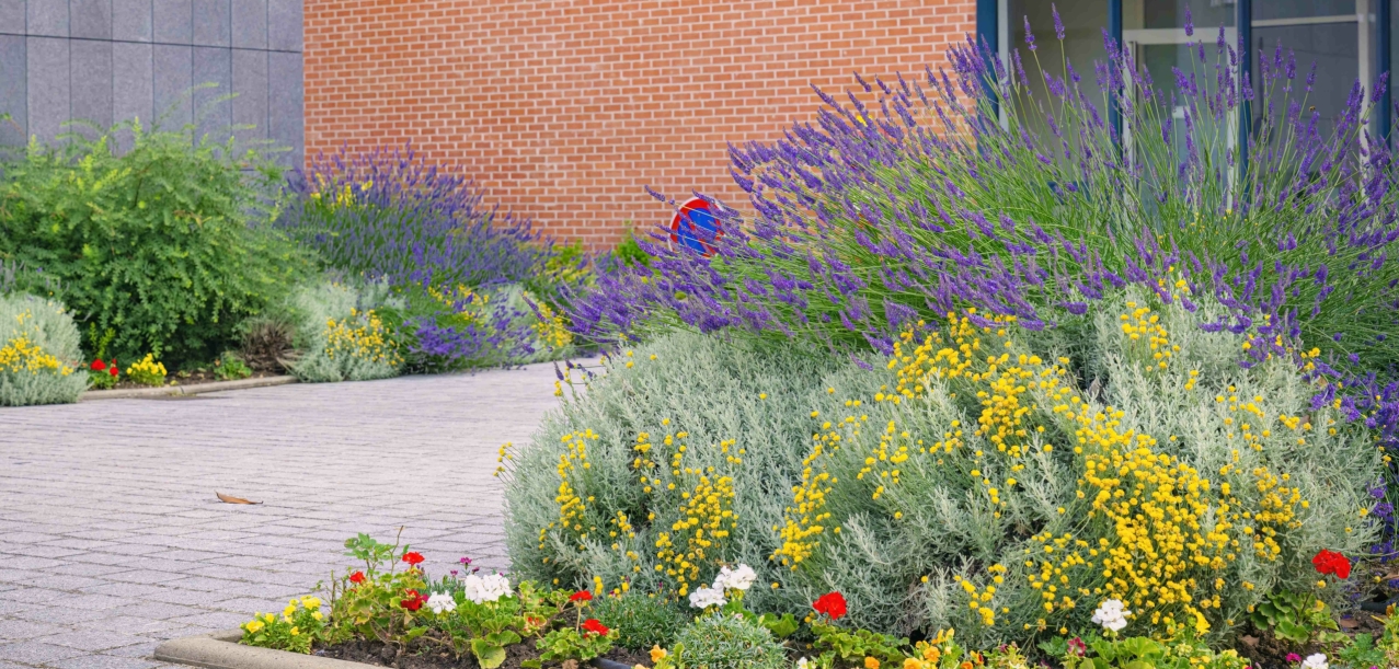 Gestion différenciée des jardins d’un Ehpad (75012)