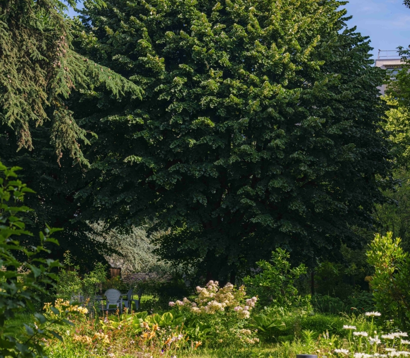 Gestion différenciée des jardins d’un Ehpad (75012)