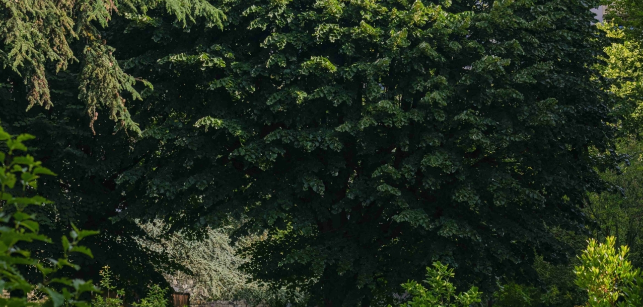 Gestion différenciée des jardins d’un Ehpad (75012)