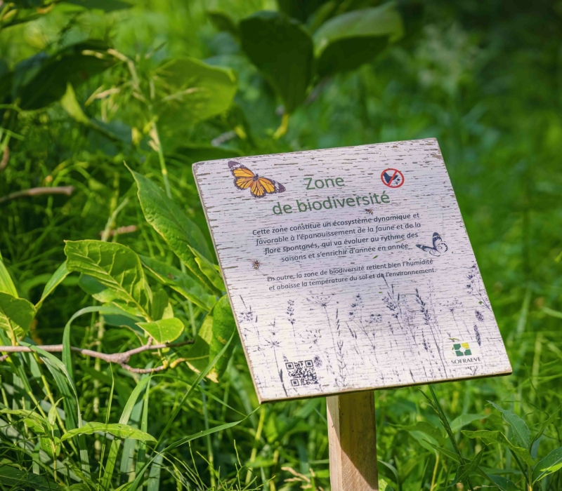 Gestion différenciée des jardins d’un Ehpad (75012) (4)