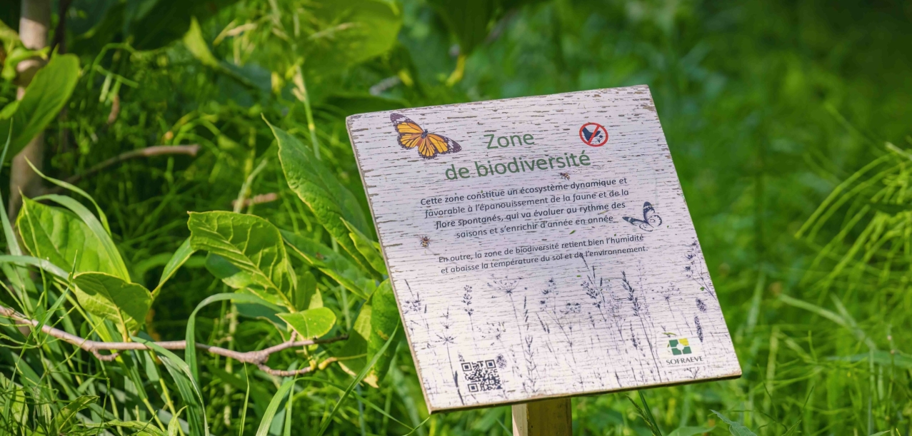 Gestion différenciée des jardins d’un Ehpad (75012) (4)
