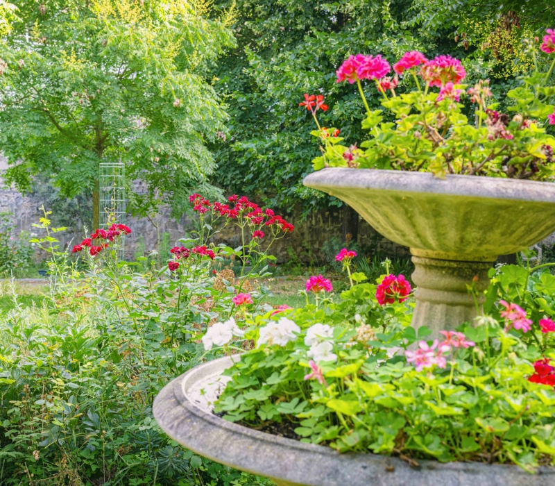 Gestion différenciée des jardins d’un Ehpad (75012)