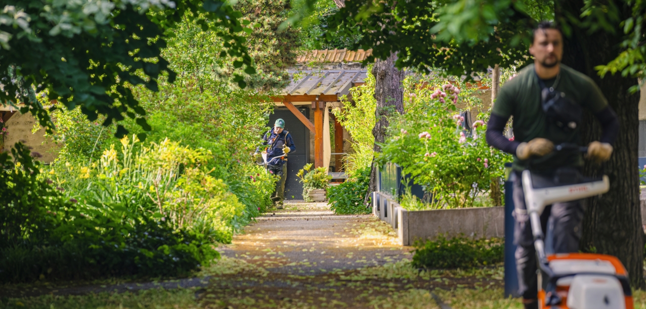 Gestion différenciée des jardins d’un Ehpad (75012)