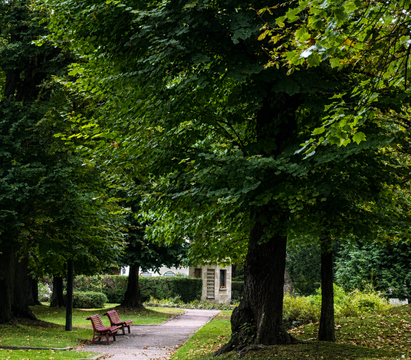 Entretien et aménagement du parc d’un ensemble immobilier de standing à Neuilly (92) (4)