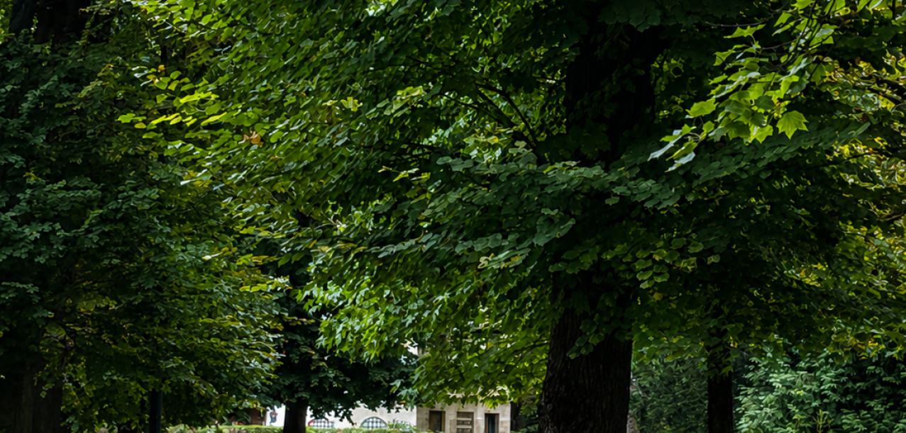 Entretien et aménagement du parc d’un ensemble immobilier de standing à Neuilly (92) (4)