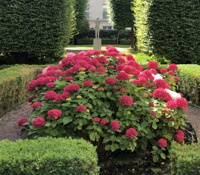 Entretien des jardins d’une grande copropriété à Chevilly-Larue (94) (3)