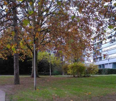 Entretien des jardins d’une grande copropriété mixte avec logements sociaux et logements privés (94) (2)