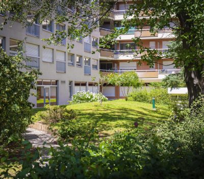 Entretien en vélo-cargo des jardins d’une résidence à Paris 15ème (2)