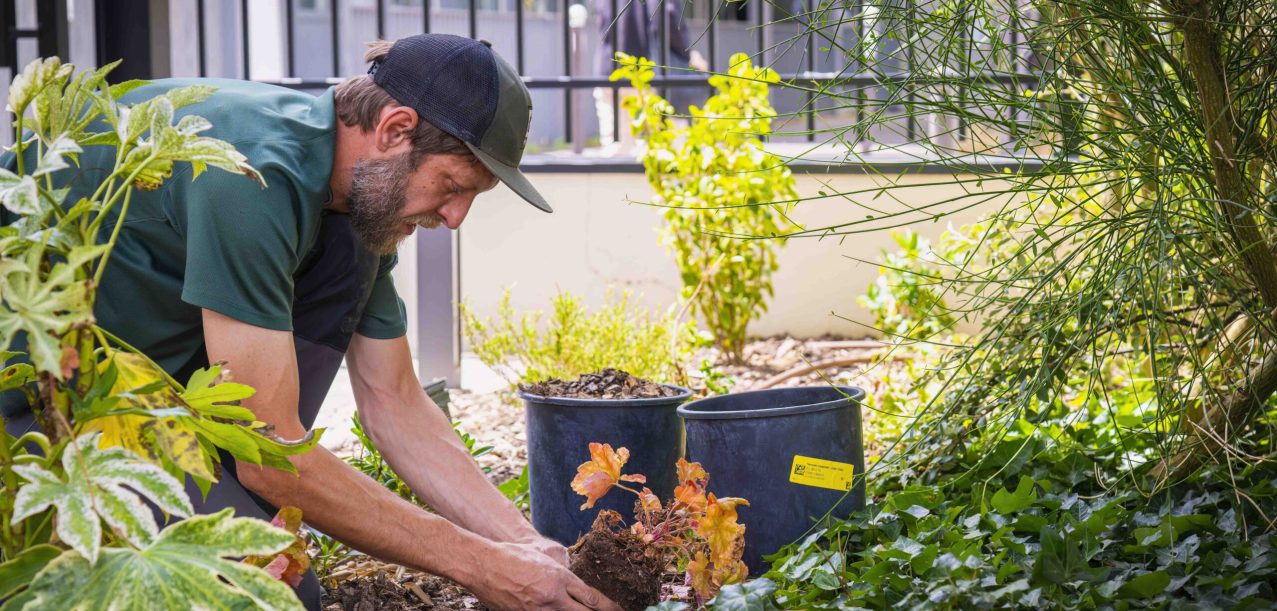Entretien en vélo-cargo des jardins d’une résidence à Paris 15ème (4)