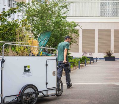 Entretien en vélo-cargo des jardins d’une résidence à Paris 15ème (5)