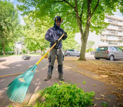 Entretien des jardins d’une grande copropriété à Chevilly-Larue (94) (3)