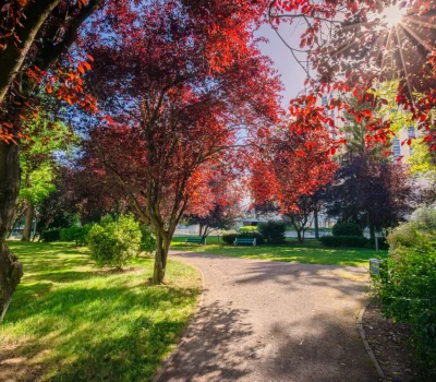 Entretien des jardins d’une grande copropriété à Chevilly-Larue (94) (4)