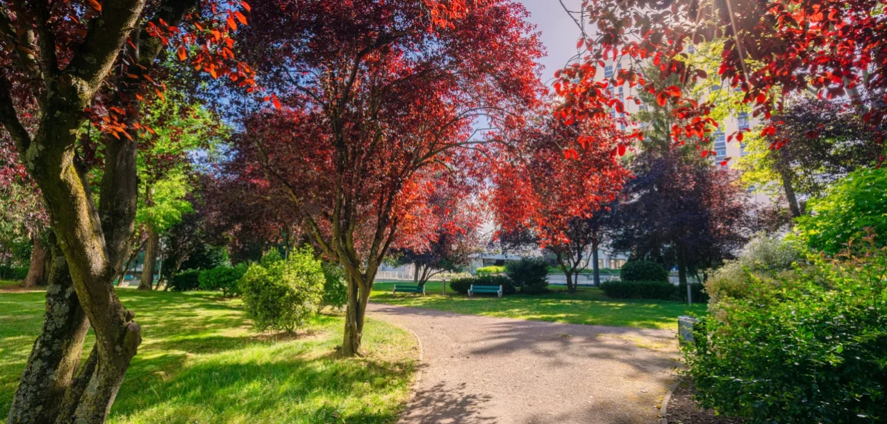 Entretien des jardins d’une grande copropriété à Chevilly-Larue (94) (4)