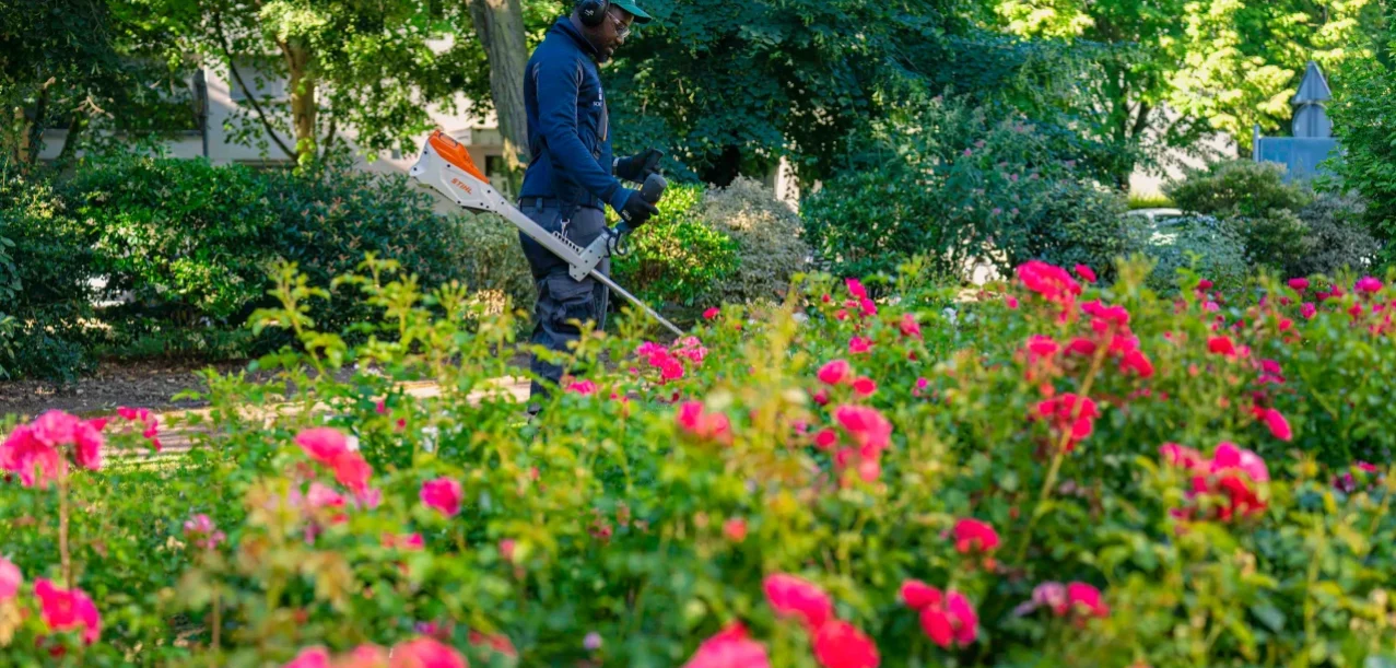 Entretien des jardins d’une grande copropriété à Chevilly-Larue (94) (5)