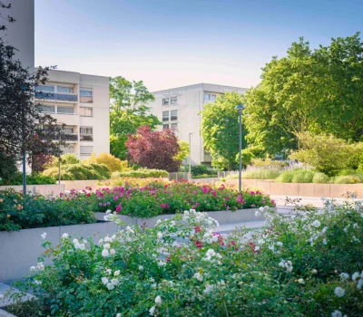 Entretien des jardins d’une grande copropriété à Chevilly-Larue (94) (6)