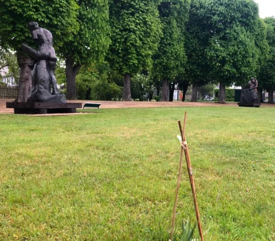 Gestion différenciée du parc du Musée Rodin de Meudon (92) (2)