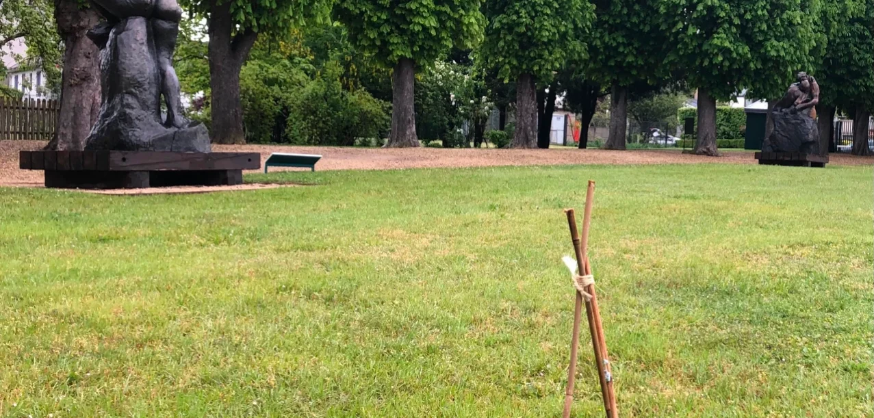 Gestion différenciée du parc du Musée Rodin de Meudon (92) (2)