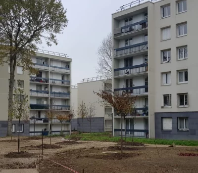 Végétalisation d’une résidence d’habitat social à Champs-sur-Marne (77) (1)