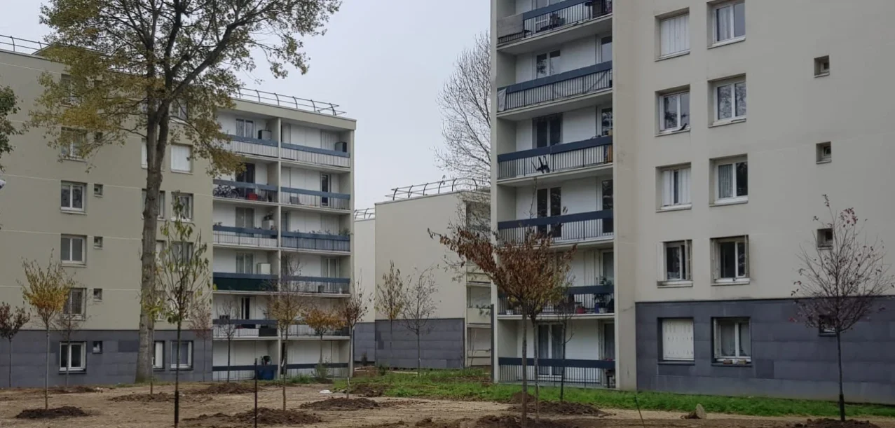 Végétalisation d’une résidence d’habitat social à Champs-sur-Marne (77) (1)