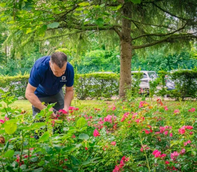 Entretien des jardins d’une grande copropriété à Athis-Mons (91) (3)