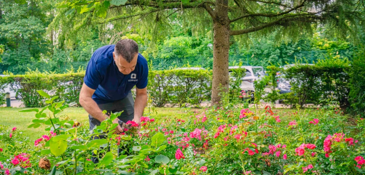 Entretien des jardins d’une grande copropriété à Athis-Mons (91) (3)