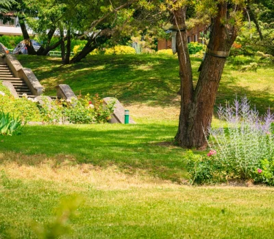 Entretien des jardins d’une grande copropriété à Athis-Mons (91) (2)