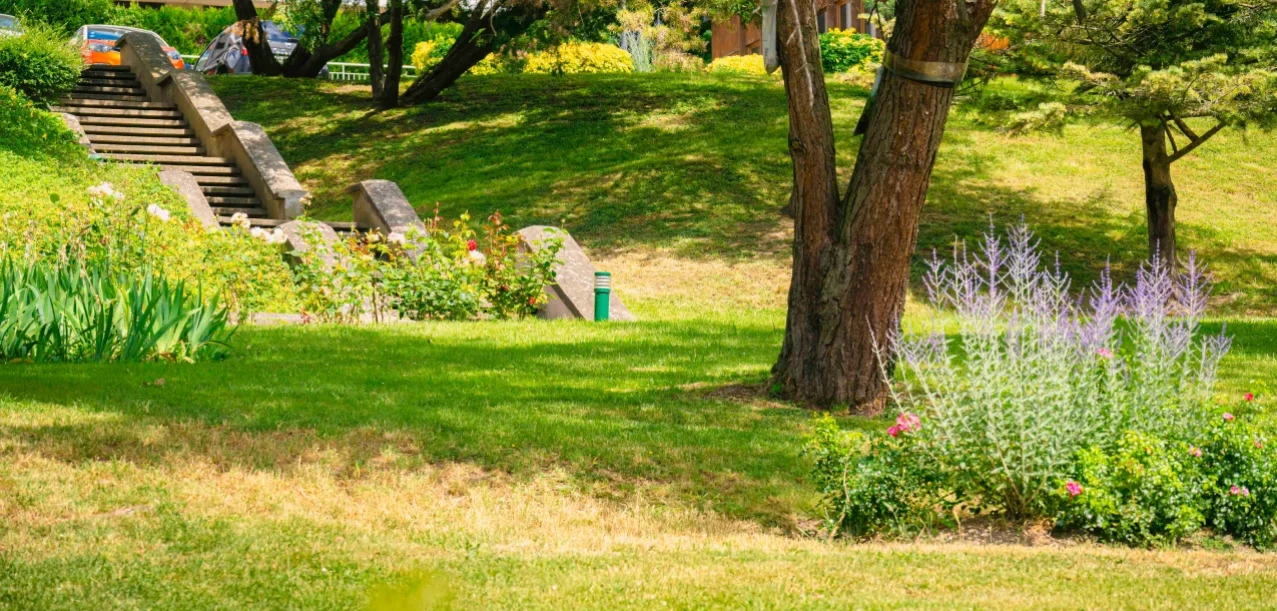 Entretien des jardins d’une grande copropriété à Athis-Mons (91) (2)