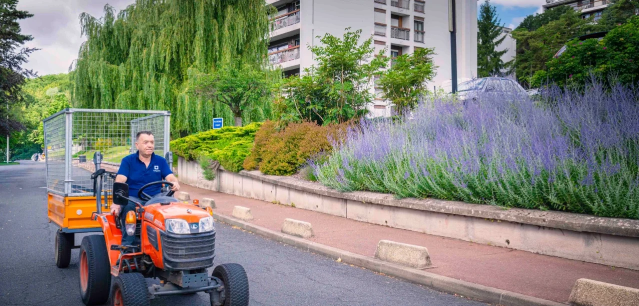 Entretien des jardins d’une grande copropriété à Athis-Mons (91) (1)