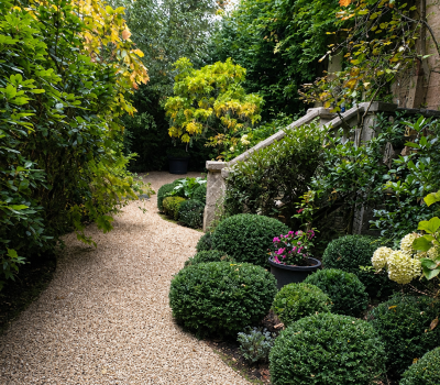 Entretien et aménagement du jardin d’une villa à Garches (92) (5)
