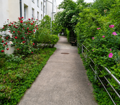 Entretien et aménagement du jardin d’une villa à Garches (92) (3)