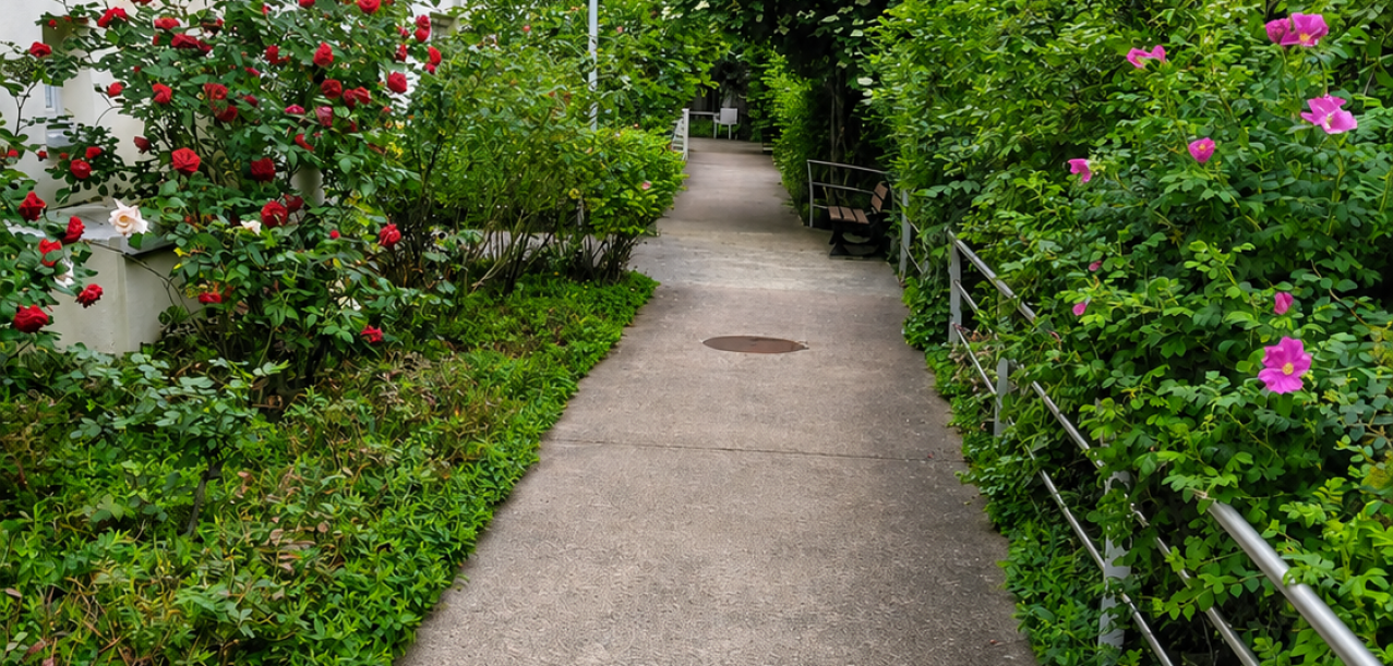 Entretien et aménagement du jardin d’une villa à Garches (92) (3)