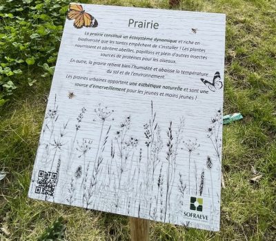 Végétalisation d’une zone d’activité, labellisée Ecojardin (94) (4)