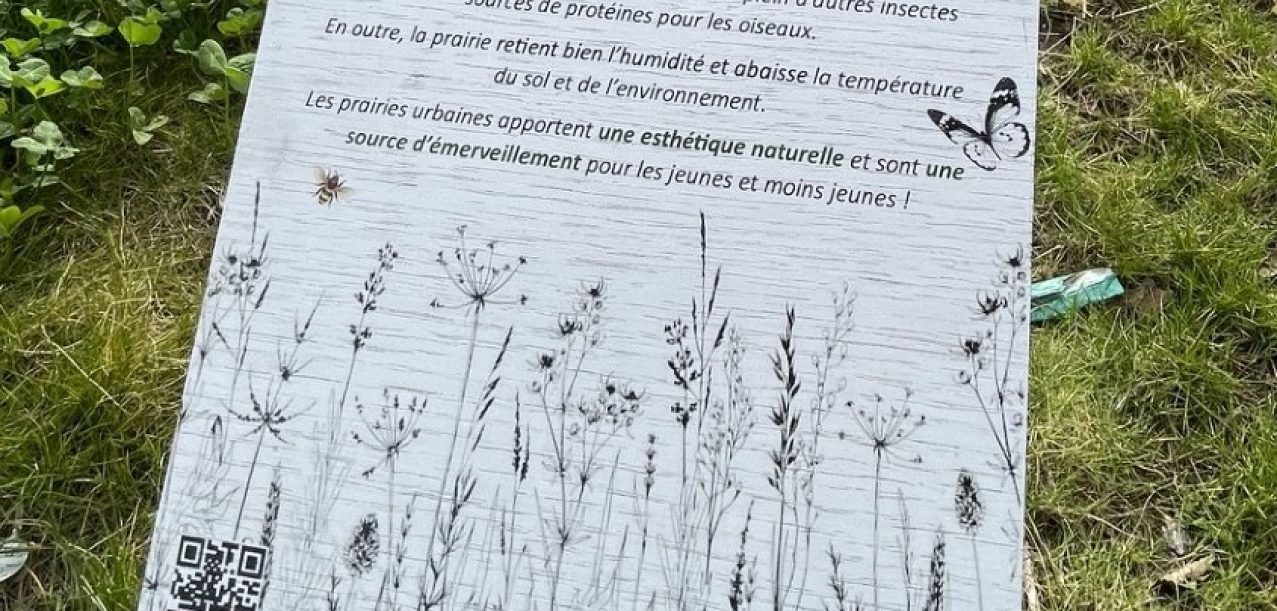 Végétalisation d’une zone d’activité, labellisée Ecojardin (94) (4)