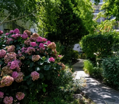 Entretien du parc intérieur d’une grande copropriété dans le 15e arrondissement de Paris (2)