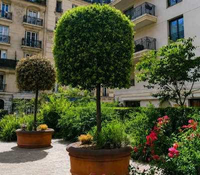 Entretien du parc intérieur d’une grande copropriété dans le 15e arrondissement de Paris (1)